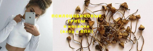 амф Володарск